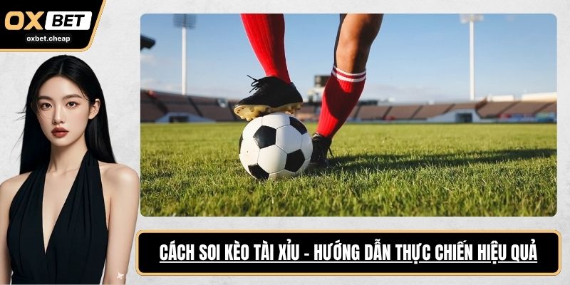 cách soi kèo tài xỉu