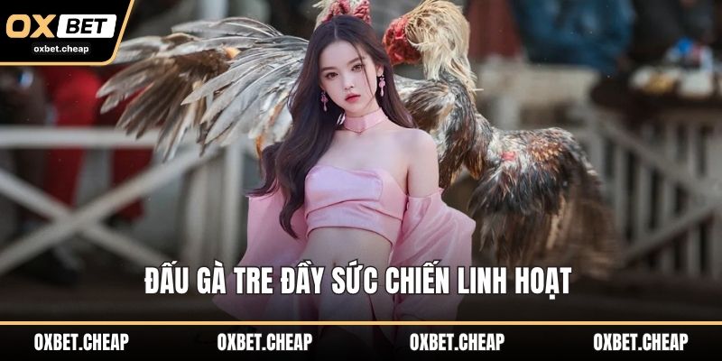 Đấu gà tre đầy sức chiến linh hoạt 
